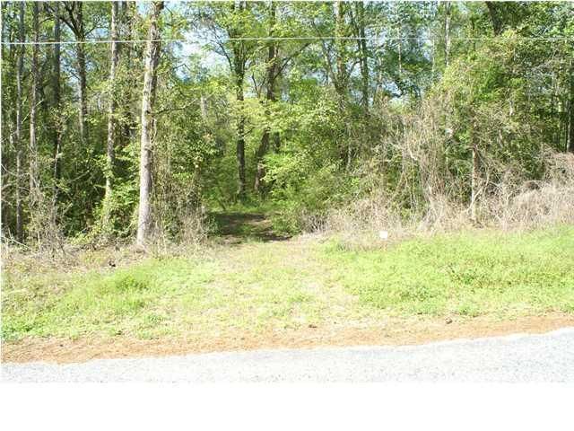 00 Pruitt St, Summerville, SC 29483