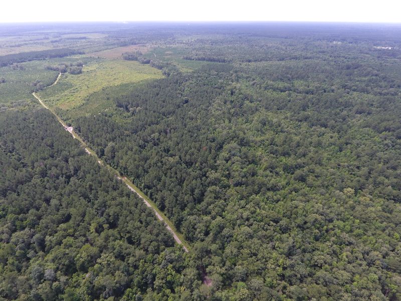 0 Mcarn Rd, Ridgeville, SC 29472