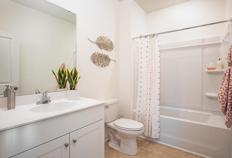 161 Lucky Day Dr, Summerville, SC 29486