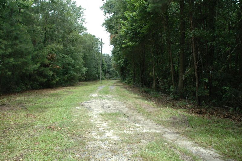 Lot 4 Riley Bay Rd, Adams Run, SC 29426