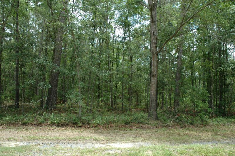 Lot 4 Riley Bay Rd, Adams Run, SC 29426
