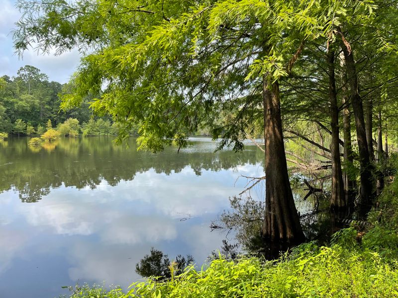 0 Highway 41, Jamestown, SC 29453