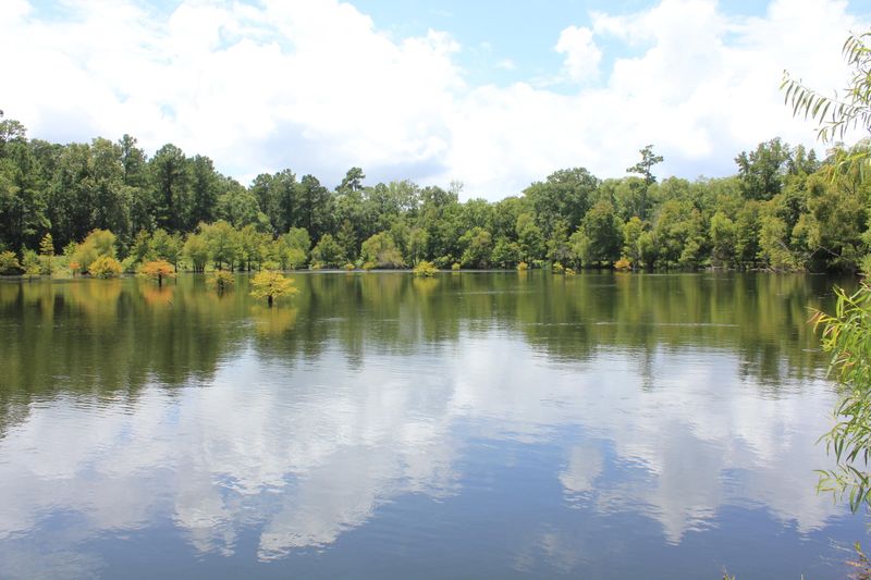 0 Highway 41, Jamestown, SC 29453