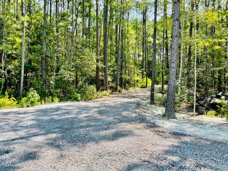 1041 Bridle Gate Trl, Awendaw, SC 29429