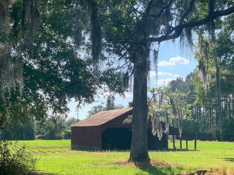 909 2nd Bend Rd, Harleyville, SC 29448