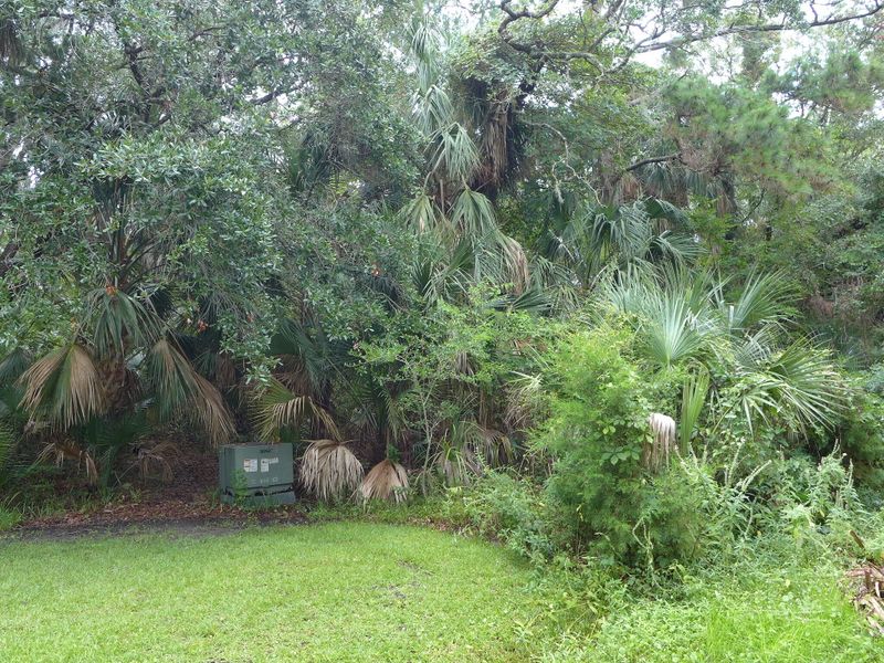 3506 Myrtle St, Edisto Beach, SC 29438