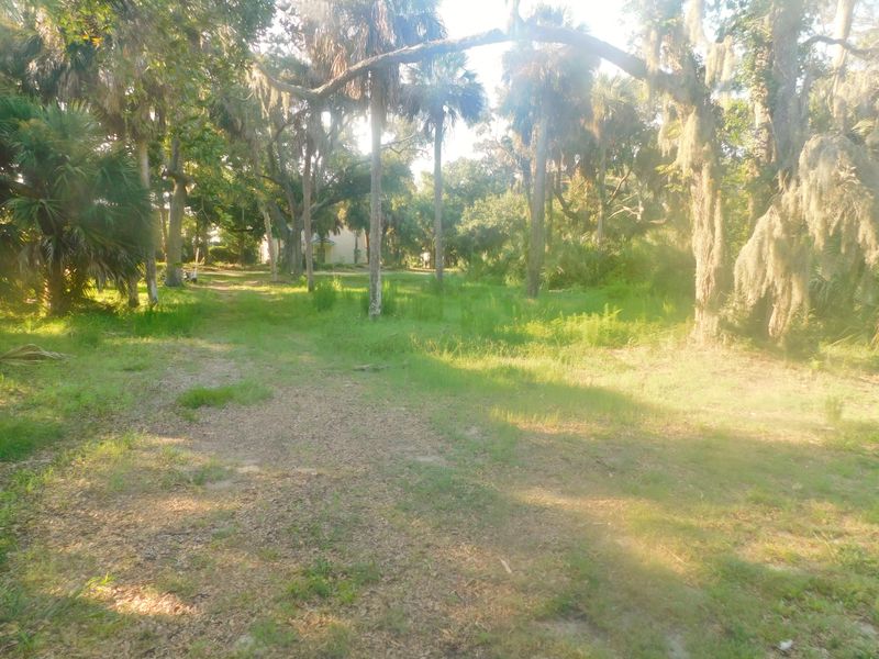 407 Jungle Rd, Edisto Beach, SC 29438