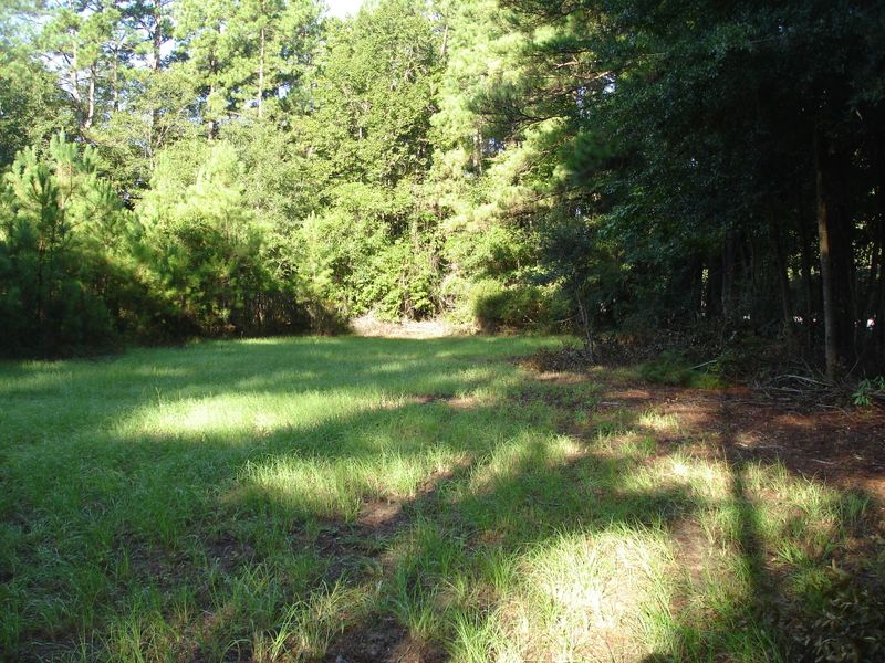 5605 Savannah Hwy, Ravenel, SC 29470
