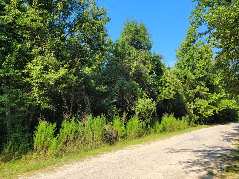 Lot 25 Tupelo Ln, Cross, SC 29436