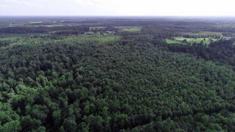 Lot 25 Tupelo Ln, Cross, SC 29436