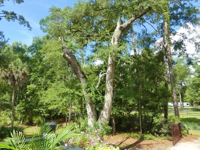 8287 Palmetto Rd, Edisto Island, SC 29438