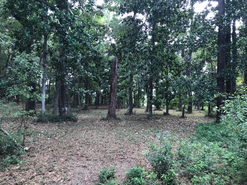 8619 Middleton Point Ln, Edisto Island, SC 29438