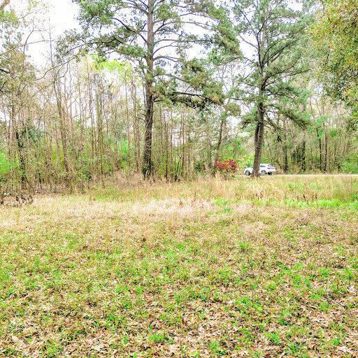 1742 Habersham, Mount Pleasant, SC 29466