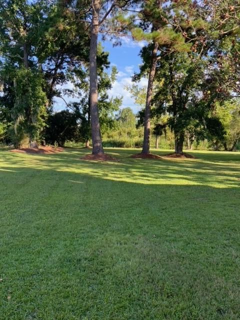 1216 Eagle Landing Blvd, Hanahan, SC 29410