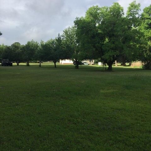 1560 Yellow House Rd, Wadmalaw Island, SC 29487