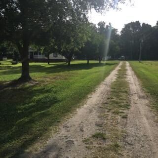 1560 Yellow House Rd, Wadmalaw Island, SC 29487