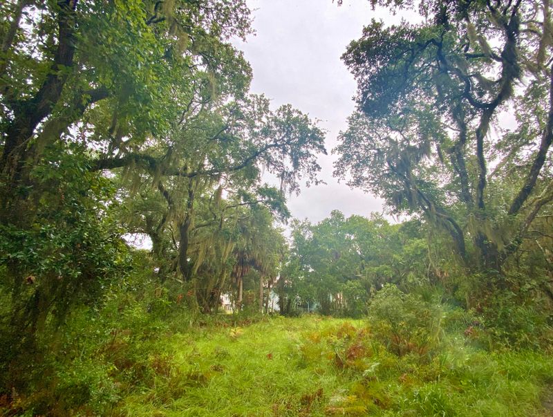 726 Sandpiper Ridge Rd, Edisto Island, SC 29438