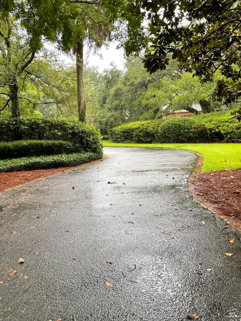 11 Palmetto Rd, Charleston, SC 29407