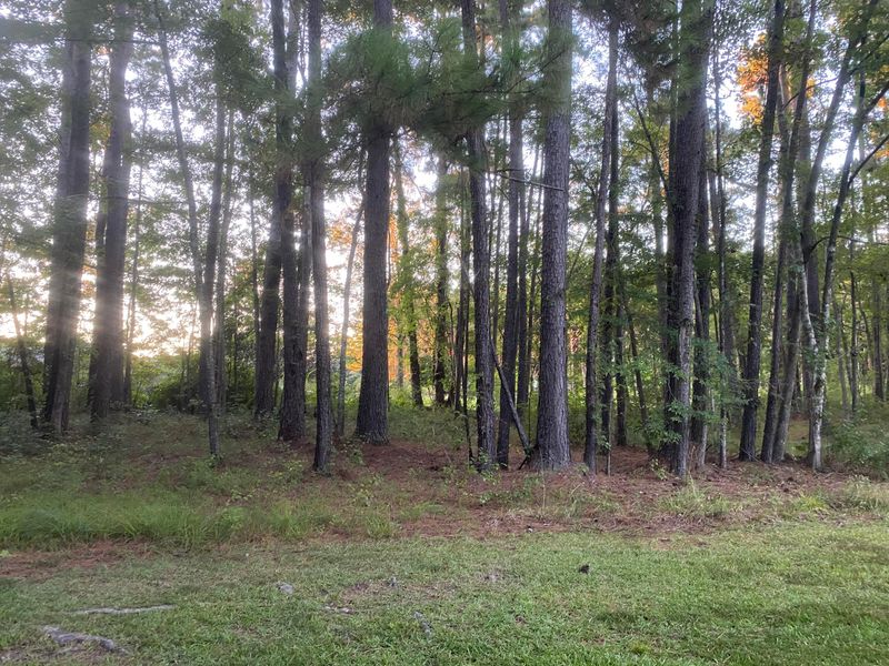 0 Huntington Rd, Summerville, SC 29483