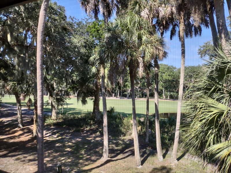 1146 Summerwind Ln, Seabrook Island, SC 29455