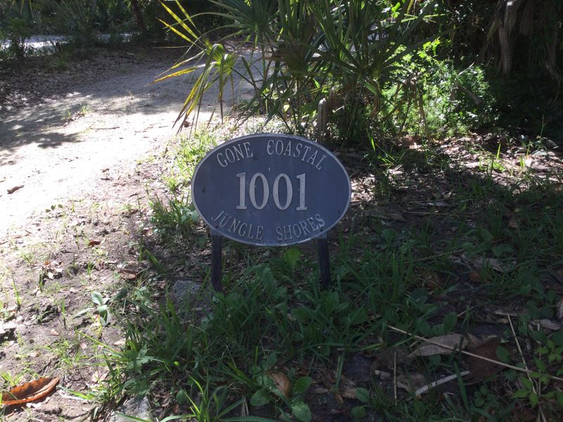 1001 Jungle Shores Dr, Edisto Island, SC 29438