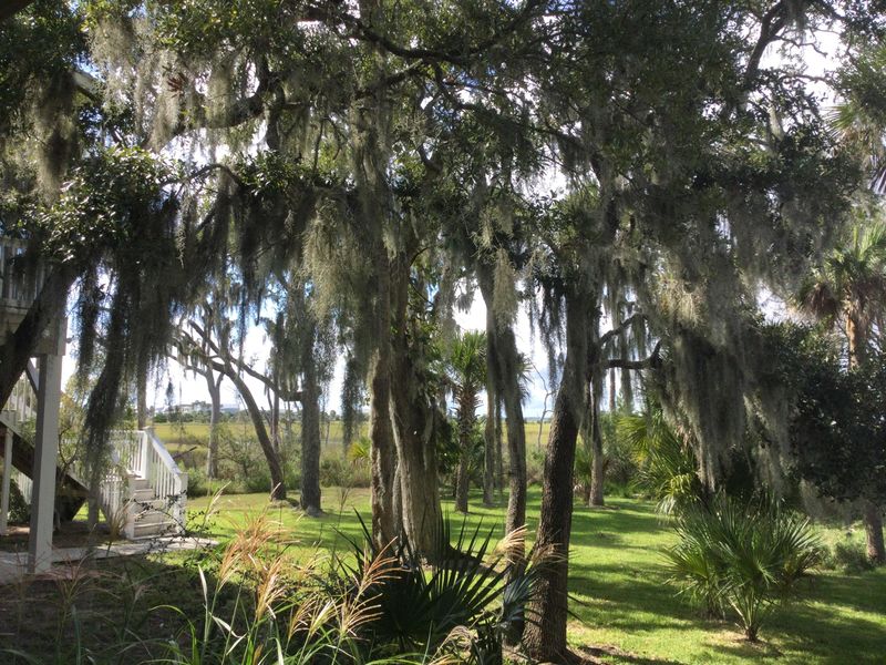 1001 Jungle Shores Dr, Edisto Island, SC 29438