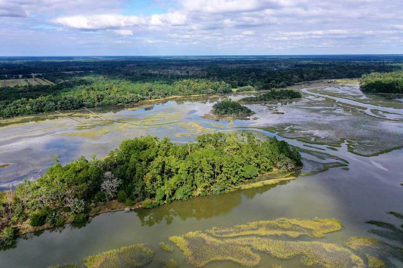 0 Black Pond Ln, Wadmalaw Island, SC 29487