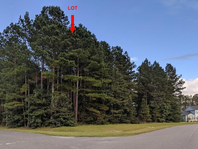 1001 Beak Rush Ct, Moncks Corner, SC 29461