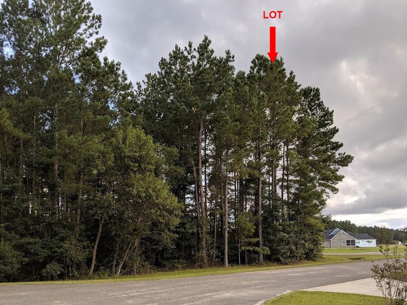 1001 Beak Rush Ct, Moncks Corner, SC 29461