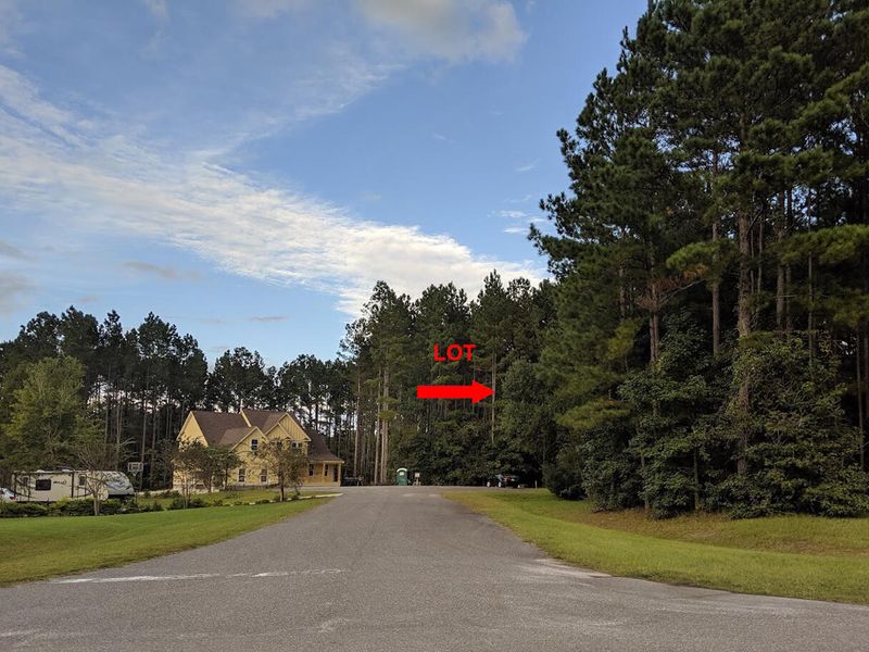 1001 Beak Rush Ct, Moncks Corner, SC 29461