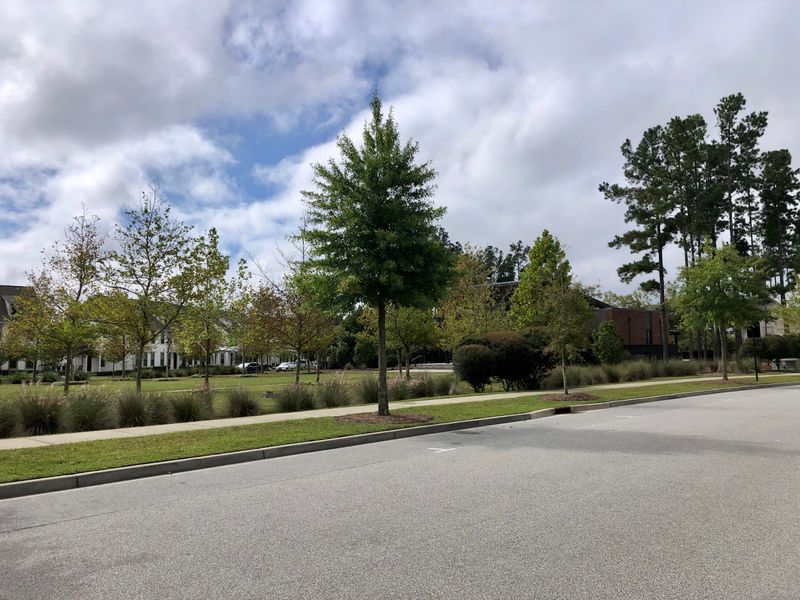 254 Oak Park St, Summerville, SC 29486