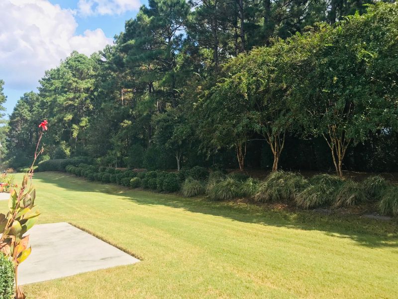 561 Sea Foam St, Summerville, SC 29486