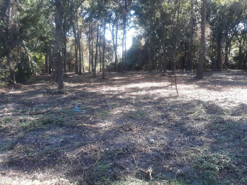 13 Ave B 3 Lots, Charleston, SC 29412
