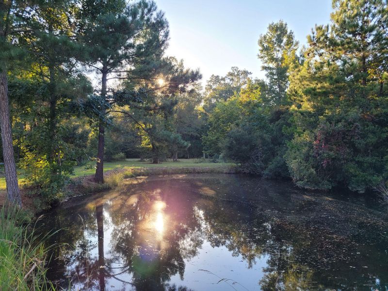 8064 Bing Hill Rd, Adams Run, SC 29426