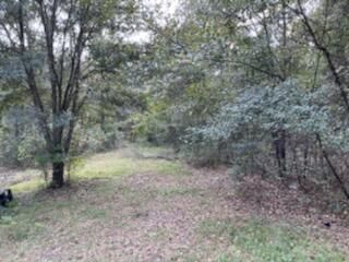 5731 Martin St, Ravenel, SC 29470