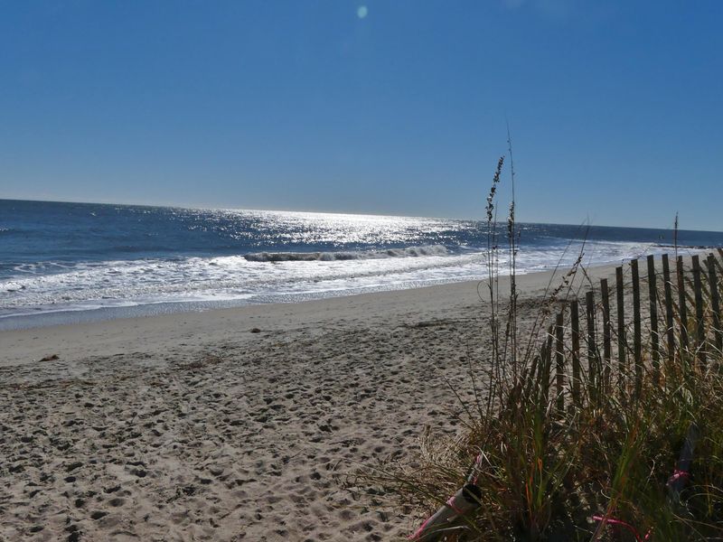 310 Whaley St, Edisto Island, SC 29438