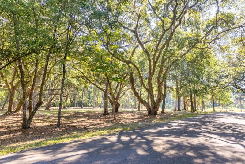 3820 Gnarled Oaks Ln #85, Johns Island, SC 29455