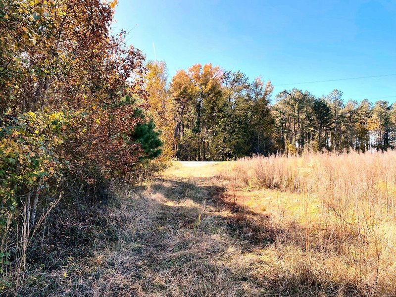 1 State Rd, Holly Hill, SC 29059