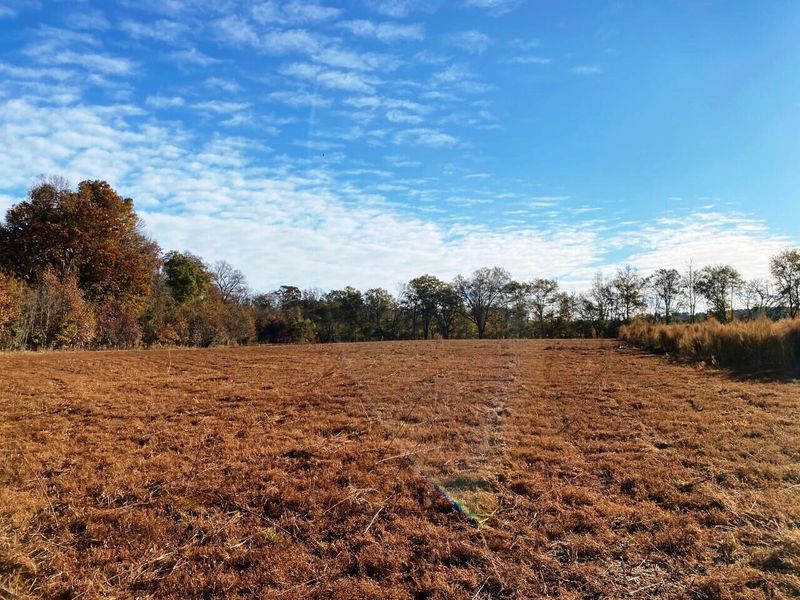 2 State Rd, Holly Hill, SC 29059