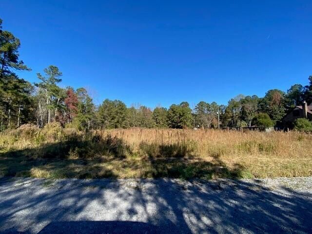 115 Love Ln, Summerville, SC 29486