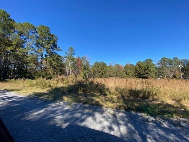 115 Love Ln, Summerville, SC 29486