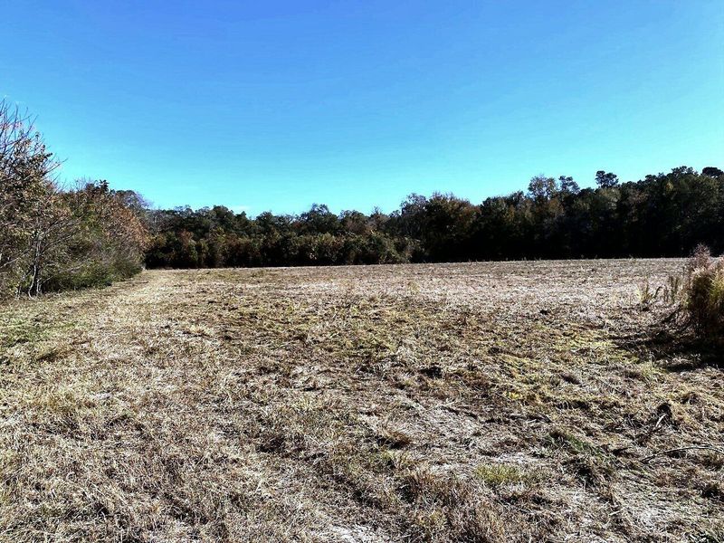 6 State Rd, Holly Hill, SC 29059