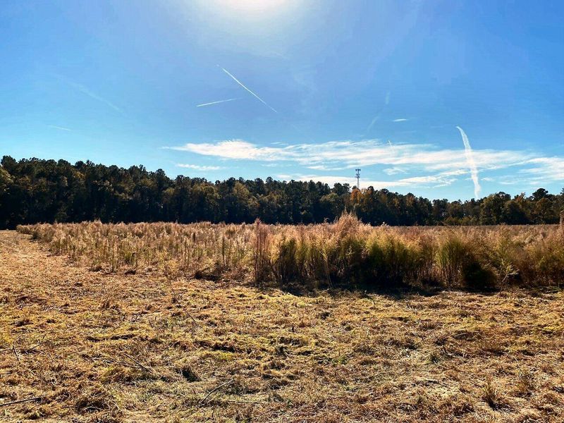 6 State Rd, Holly Hill, SC 29059