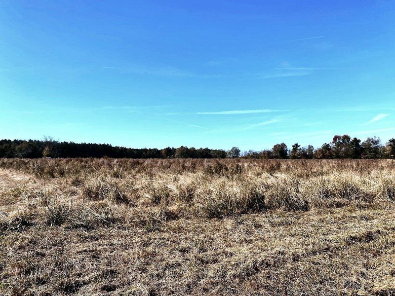 6 State Rd, Holly Hill, SC 29059