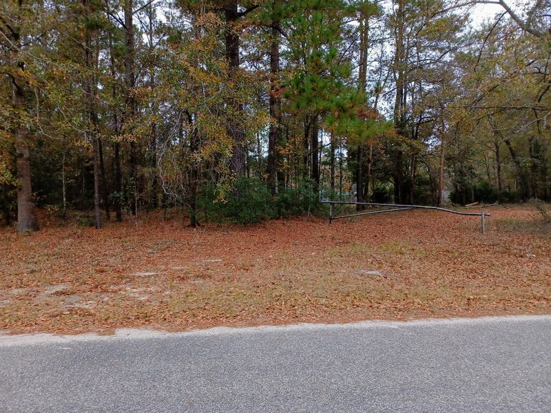 0 Silver King Ave, Cross, SC 29436