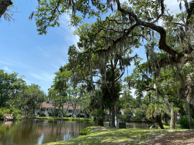 492 Sea Cloud Cir, Edisto Island, SC 29438