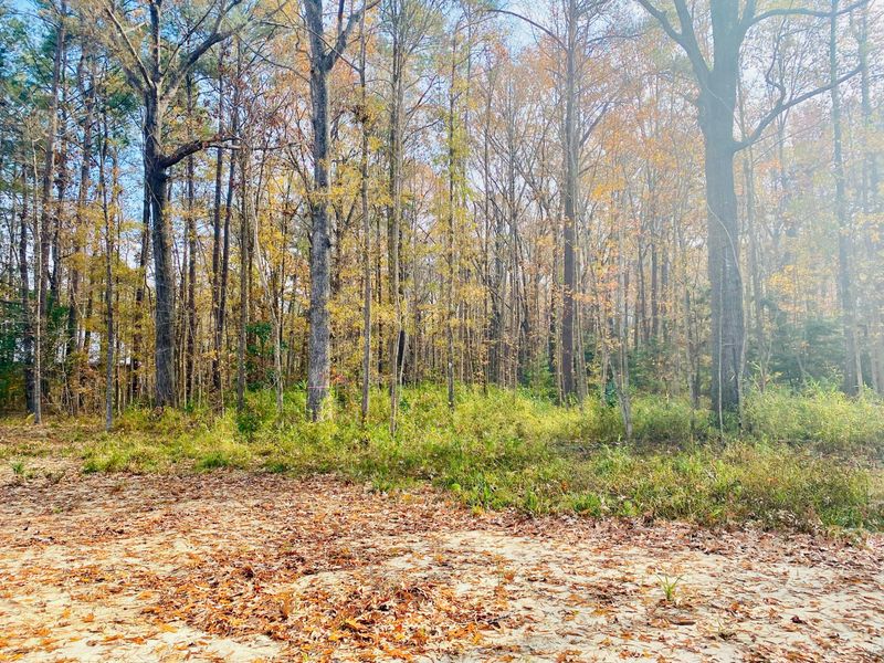 1068 O T Wallace Blvd, Moncks Corner, SC 29461