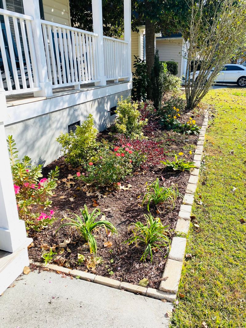2646 Lani Ct, Charleston, SC 29414