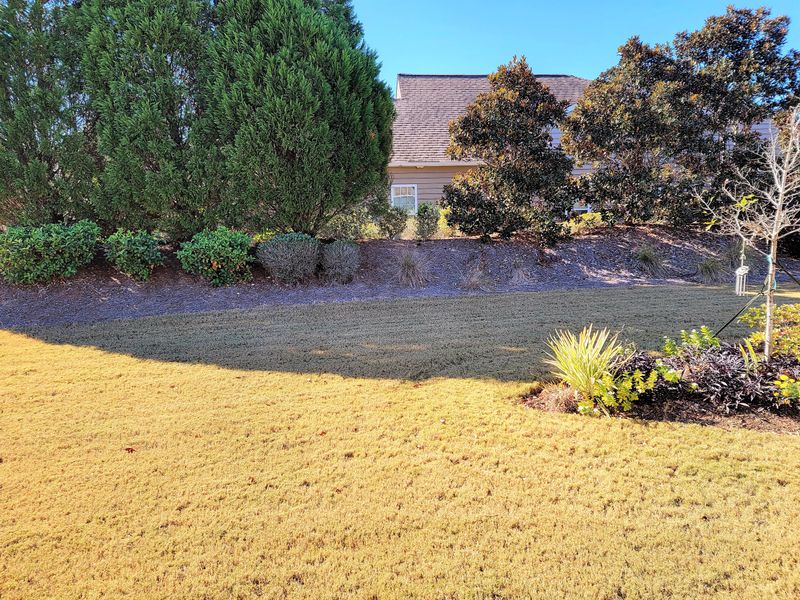 201 Sternside Run Ave, Summerville, SC 29486