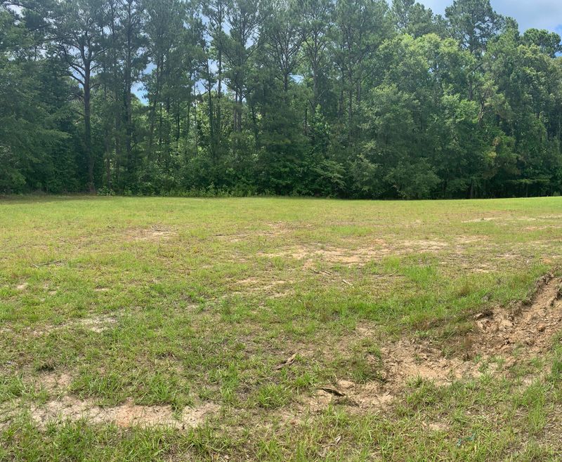 6488 Hyde Park Rd, Ravenel, SC 29470